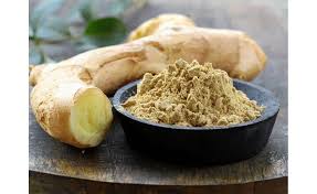 GANDHIGRAMAM KATHURI MANJAL